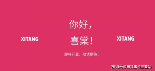 三亞房地產(chǎn)項目詳情咨詢全解析 從區(qū)位到投資的全方位指南